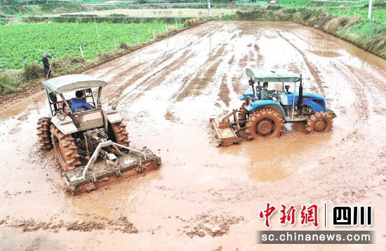 廣安農行支持的某種糧大戶春耕備耕場景。李華 攝 廣安農行支持的某種糧大戶春耕備耕場景。李華 攝