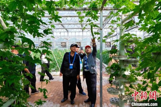 海外華文媒體在董允壩國家現代農業示范園參觀。劉忠俊攝 海外華文媒體在董允壩國家現代農業示范園參觀。劉忠俊攝