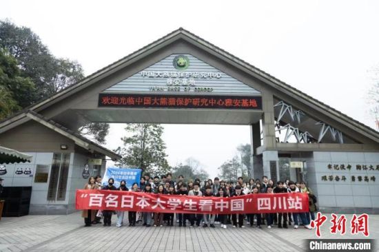 3月10日,四川雅安,日本大學生探訪大熊貓。邱川浩 攝 3月10日,四川雅安,日本大學生探訪大熊貓。邱川浩 攝