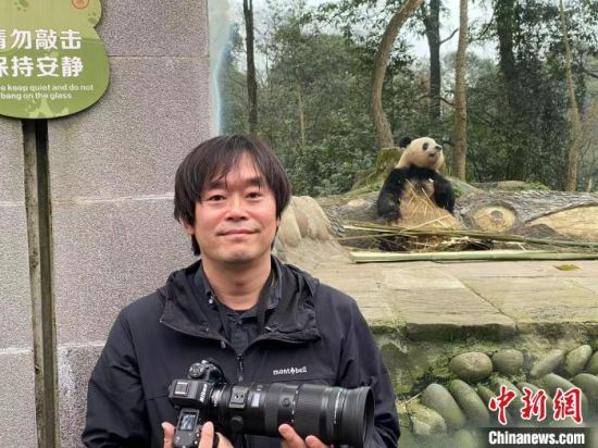 日本大熊貓攝影師高氏貴博在中國大熊貓保護(hù)研究中心雅安基地拍攝大熊貓“香香”。(資料圖,受訪者供圖) 日本大熊貓攝影師高氏貴博在中國大熊貓保護(hù)研究中心雅安基地拍攝大熊貓“香香”。(資料圖,受訪者供圖)