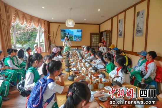 開展科普教育活動。都江堰市委統戰部 供圖 開展科普教育活動。都江堰市委統戰部 供圖