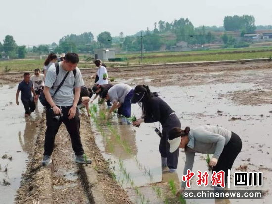 體驗農(nóng)業(yè)技術(shù)。 羅江區(qū)委宣傳部供圖 體驗農(nóng)業(yè)技術(shù)。 羅江區(qū)委宣傳部供圖