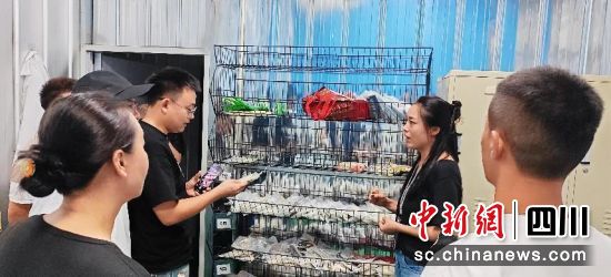 調研現場。邛崍市委統戰部 供圖 調研現場。邛崍市委統戰部 供圖