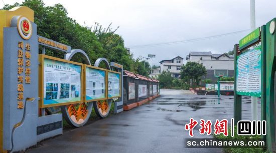 新村廣場。雨城融媒 供圖 新村廣場。雨城融媒 供圖