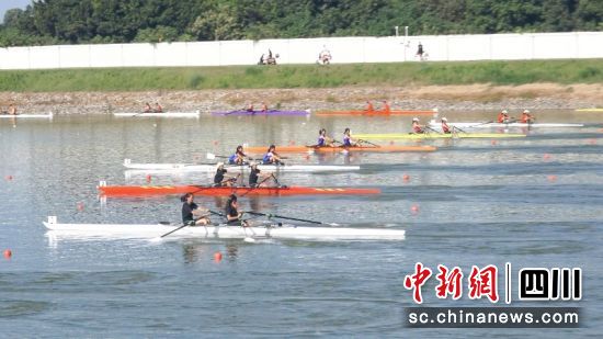 比賽現場。曹禮芹 攝 比賽現場。曹禮芹 攝