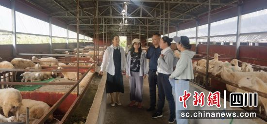 專家團隊走進養殖場指導。田建國攝 專家團隊走進養殖場指導。田建國攝