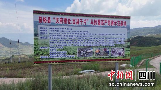 普格縣“天府糧倉·百縣千片”馬鈴薯高產(chǎn)競賽示范基地。四川鄉(xiāng)村頻道供圖 普格縣“天府糧倉·百縣千片”馬鈴薯高產(chǎn)競賽示范基地。四川鄉(xiāng)村頻道供圖