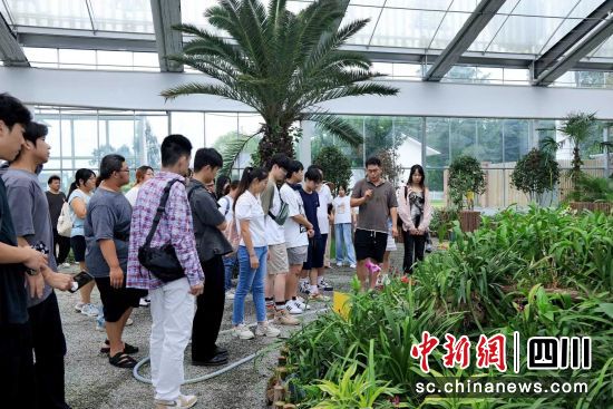 圖為活動(dòng)現(xiàn)場(chǎng)。四川省臺(tái)聯(lián) 供圖 圖為活動(dòng)現(xiàn)場(chǎng)。四川省臺(tái)聯(lián) 供圖