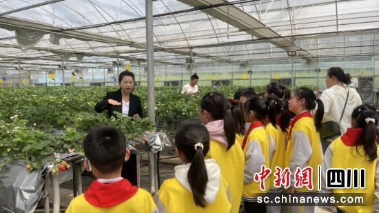 陳琳建立的產(chǎn)學(xué)研基地。賴俊全 攝 陳琳建立的產(chǎn)學(xué)研基地。賴俊全 攝