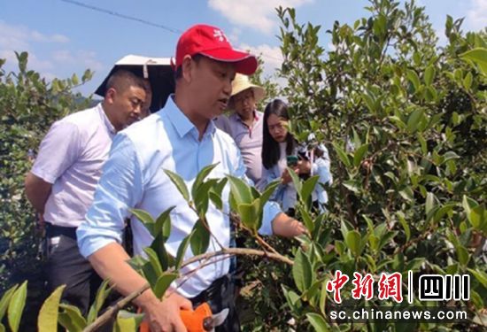 現(xiàn)場技術(shù)指導(dǎo)。榮縣自然資源和規(guī)劃局 供圖 現(xiàn)場技術(shù)指導(dǎo)。榮縣自然資源和規(guī)劃局 供圖
