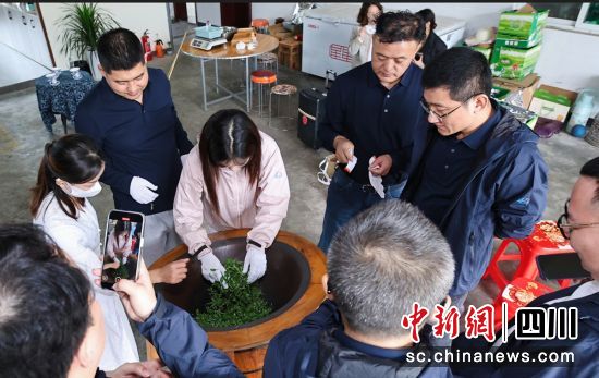 在高崗村體驗手工制茶。名山融媒 供圖 在高崗村體驗手工制茶。名山融媒 供圖