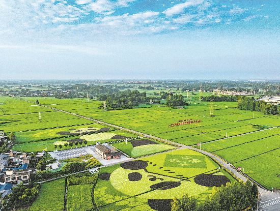 天府糧倉國家現代農業產業園 天府糧倉國家現代農業產業園